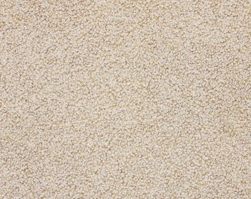 Carpet Floor Material